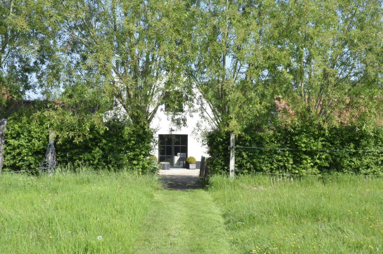 Bed and Breakfast Stee 23 Hertsberge Exteriér fotografie